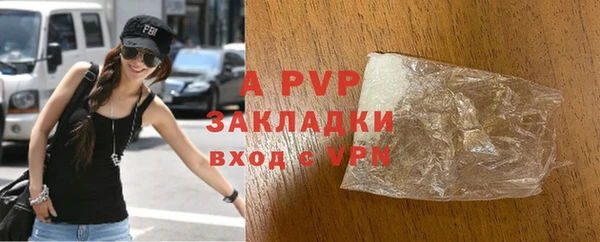 spice Богородск