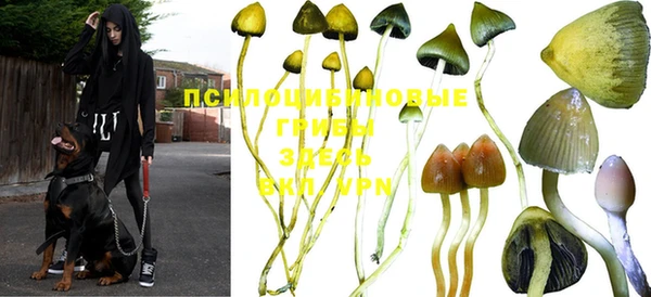 меф VHQ Богородицк