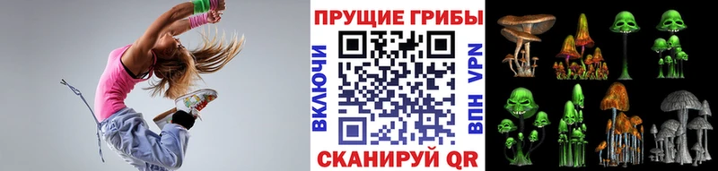 Псилоцибиновые грибы прущие грибы  Томилино 