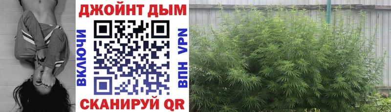 Бошки Шишки MAZAR Томилино